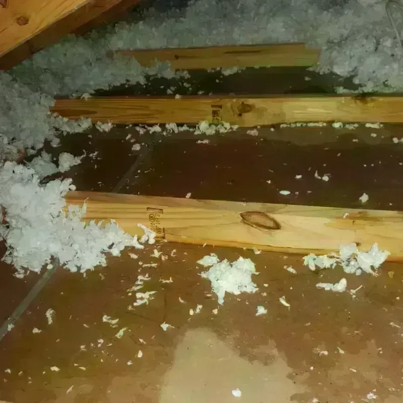 Attic Water Damage in Morgan County, MO