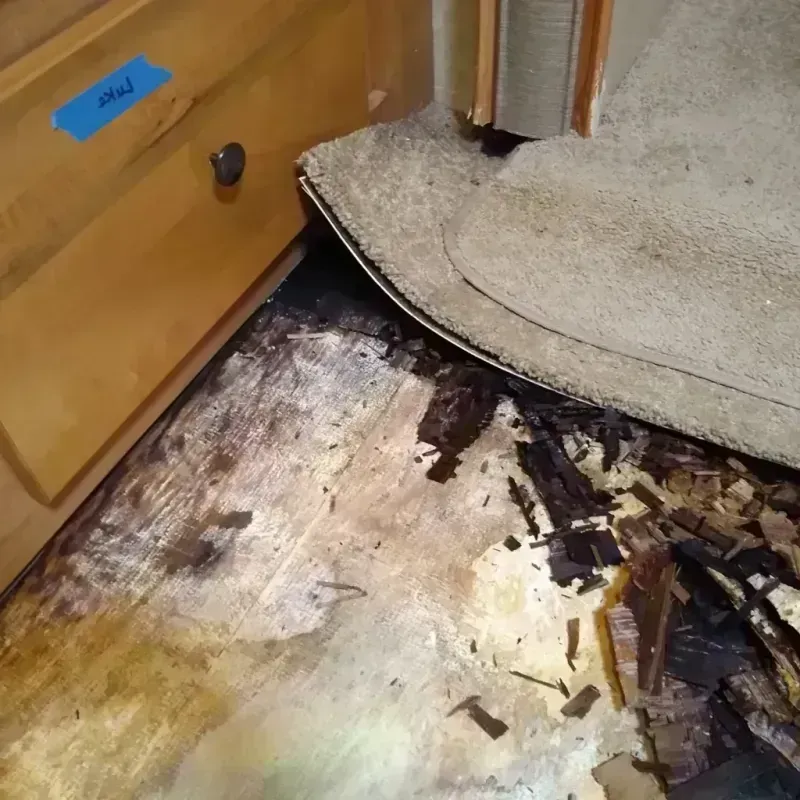 Wood Floor Water Damage in Morgan County, MO